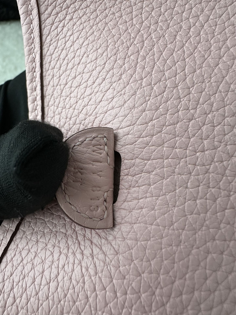 Mini Evelyne Tc Clemence  3Q Rose Sakura silver hardware