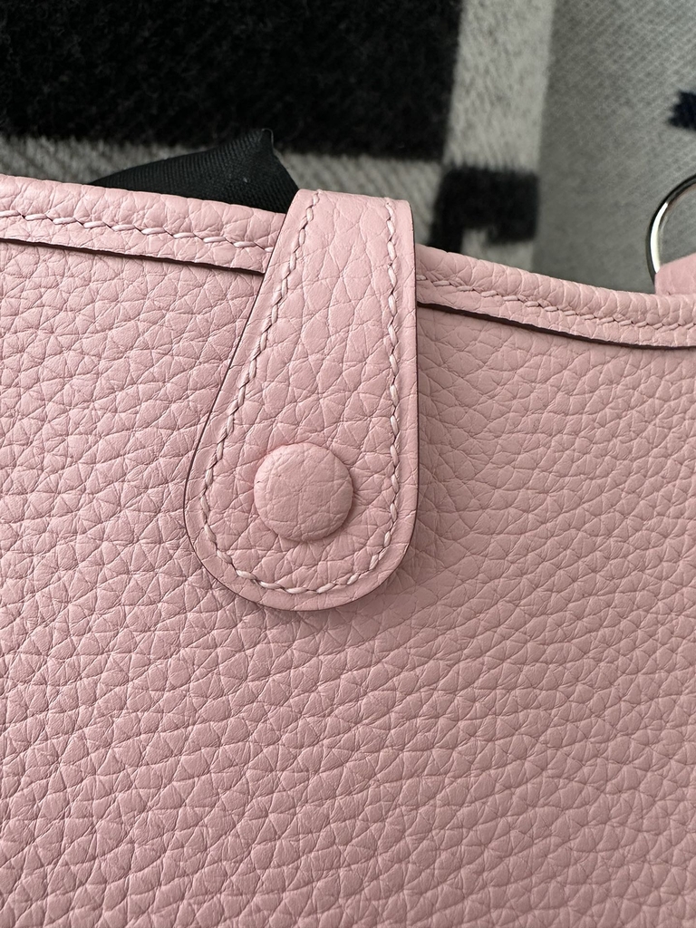 Mini Evelyne Tc Clemence  3Q Rose Sakura silver hardware
