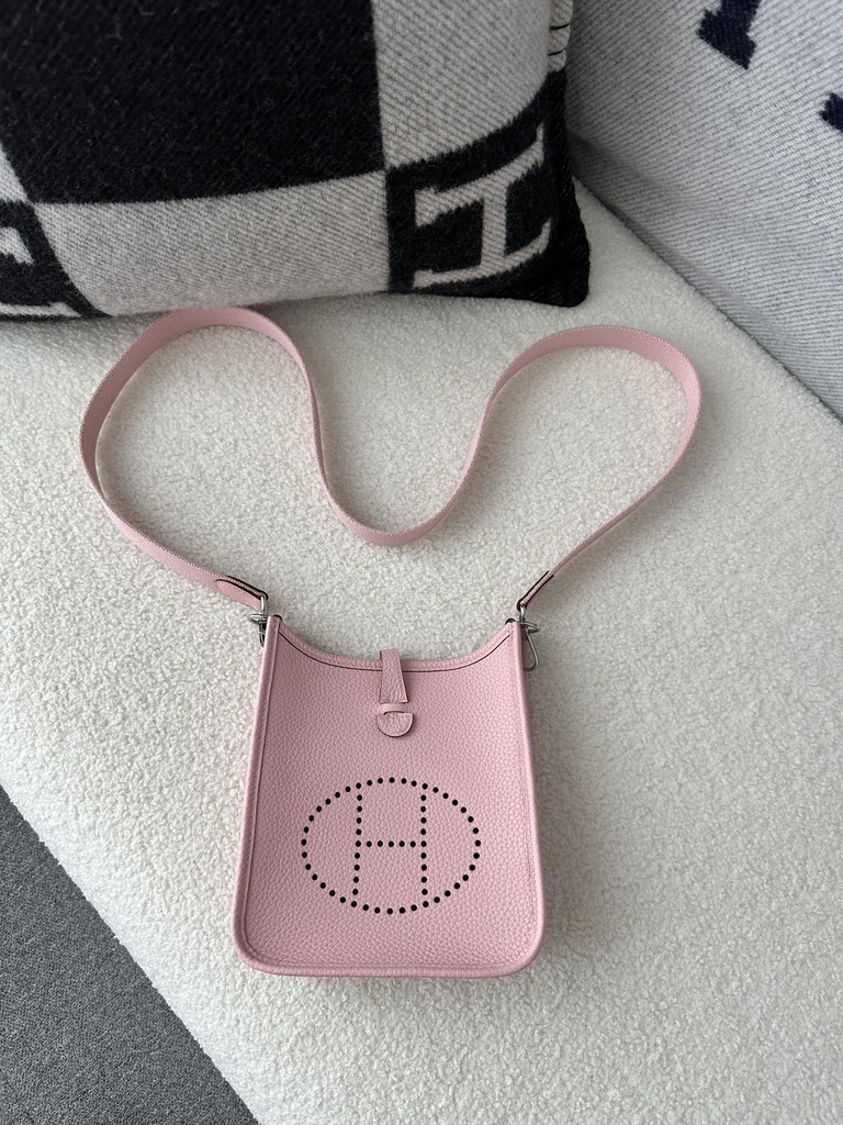 Mini Evelyne Tc Clemence  3Q Rose Sakura silver hardware