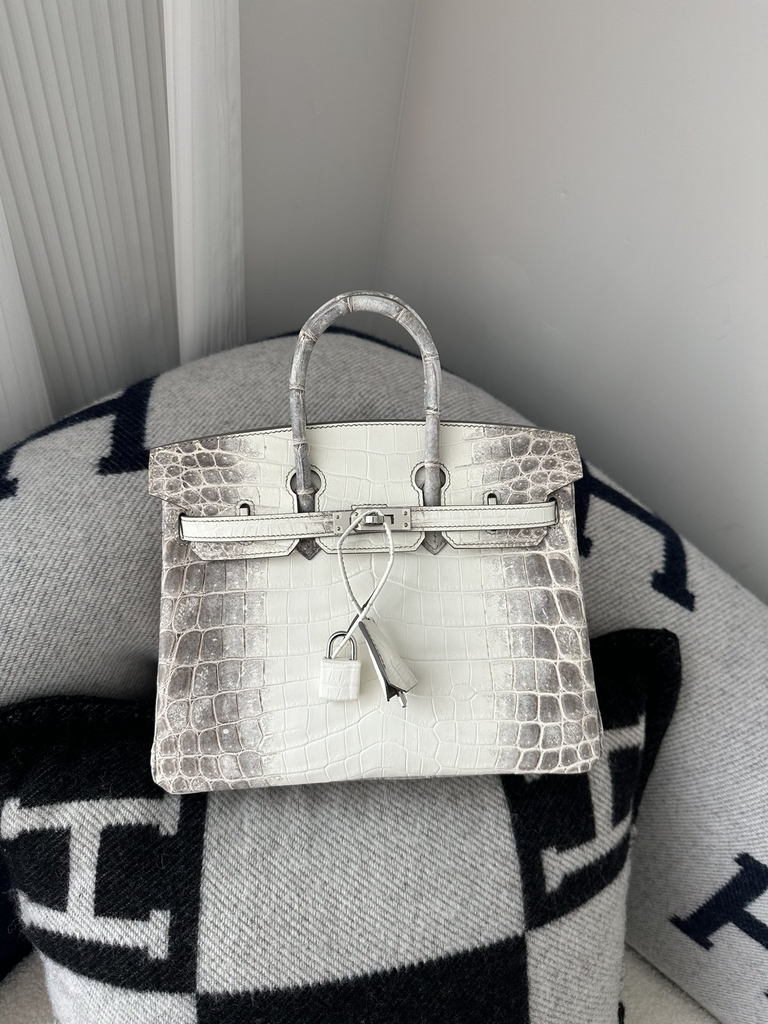 Birkin 25cm HCP Water-Dyed Matte Himalaya Crocodile Leather 01 Himalaya Silver Hardware