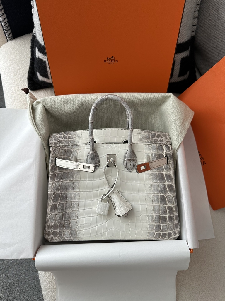 Birkin 25cm HCP Water-Dyed Matte Himalaya Crocodile Leather 01 Himalaya Silver Hardware