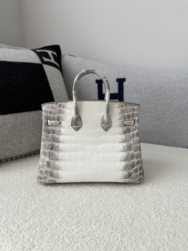 Birkin 25cm HCP Water-Dyed Matte Himalaya Crocodile Leather 01 Himalaya Silver Hardware