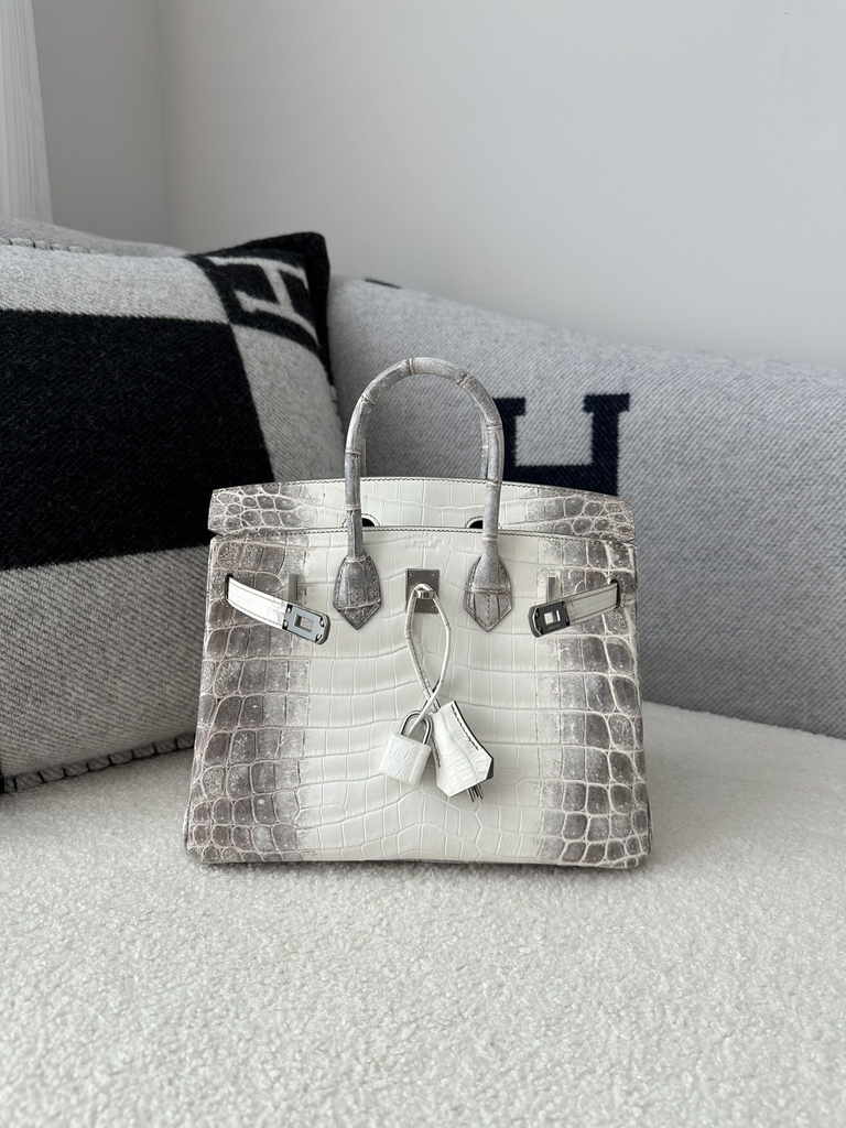 Birkin 25cm HCP Water-Dyed Matte Himalaya Crocodile Leather 01 Himalaya Silver Hardware