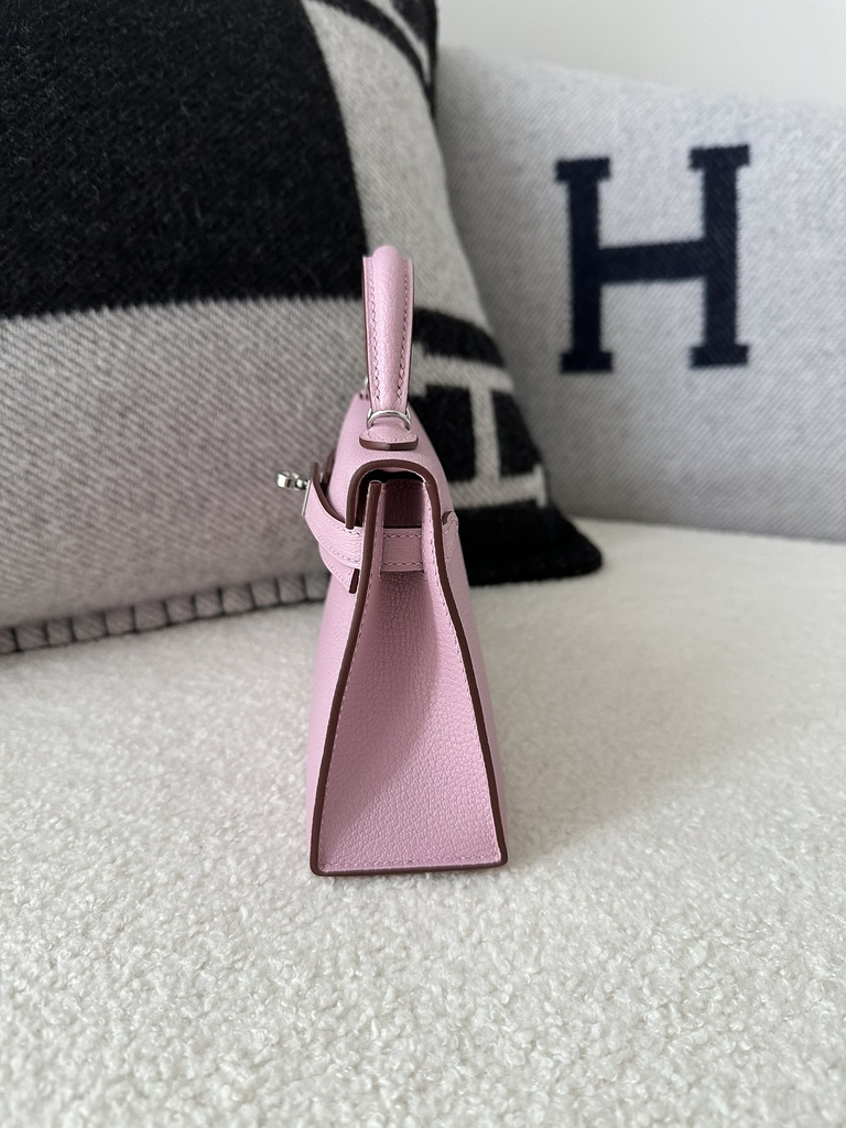 Kelly mini II evercolor X9  Mauve sylvestre silver hardware