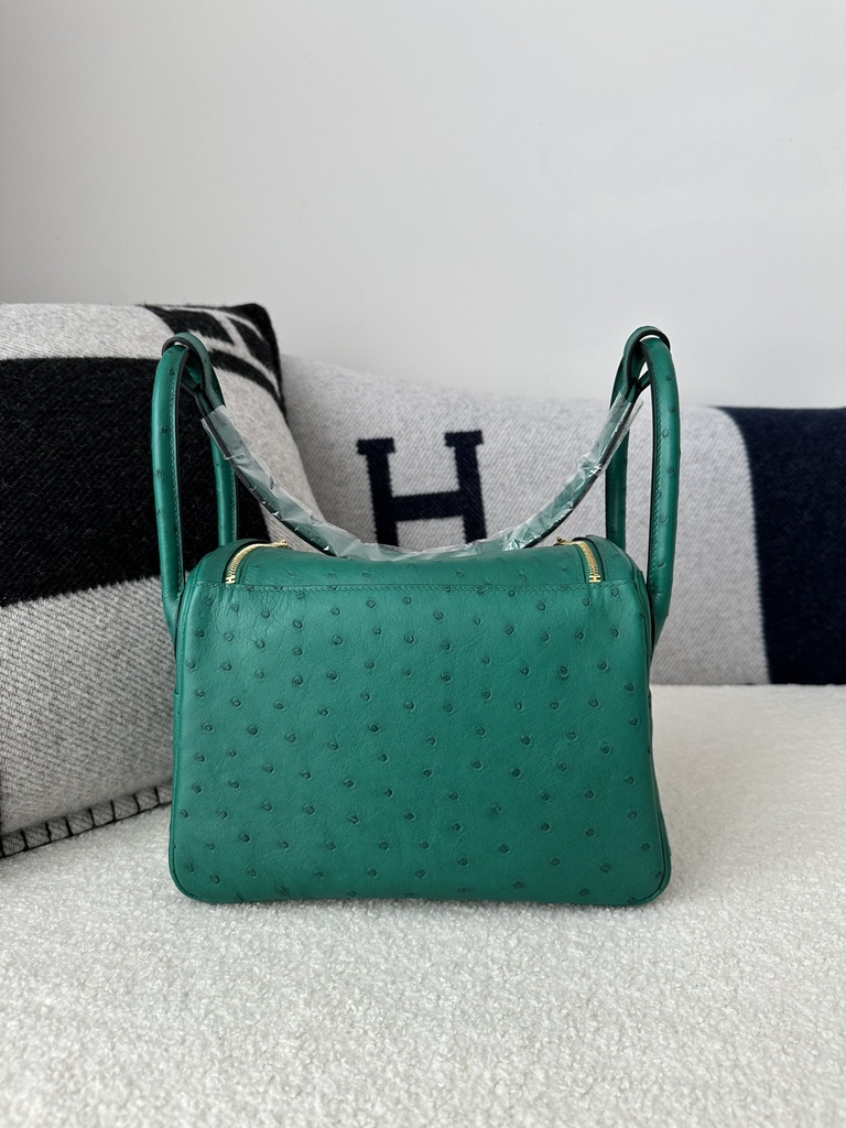 Lindy 26cm Klein Karoo ostrich  U4 Vert vertigo Gold hardware