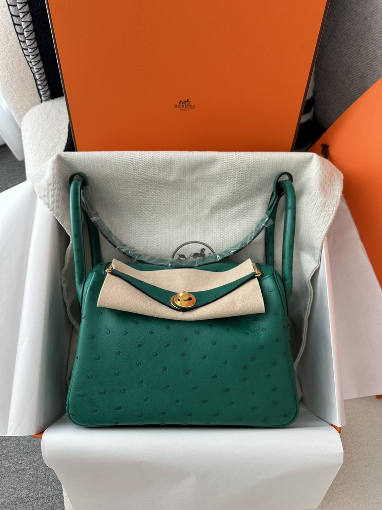 Lindy 26cm Klein Karoo ostrich  U4 Vert vertigo Gold hardware