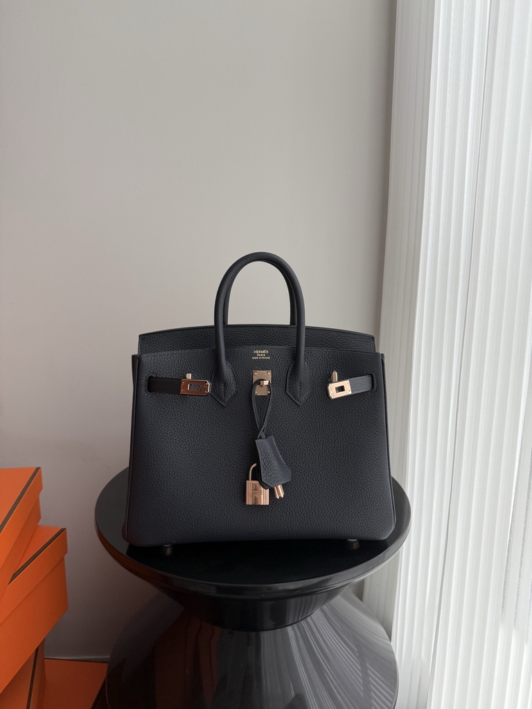 Birkin 25cm Platinum Blue Niut Togo Leather Handbag