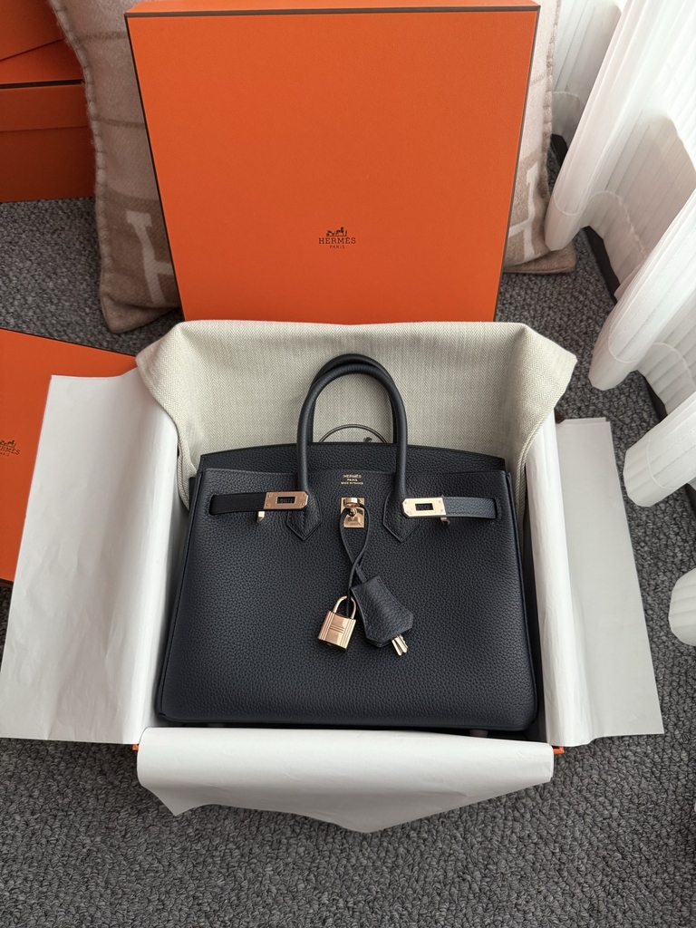 Birkin 25cm Platinum Blue Niut Togo Leather Handbag