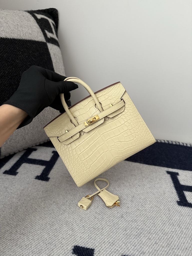 Birkin 20cm Matte Porosus Crocodile Handbag