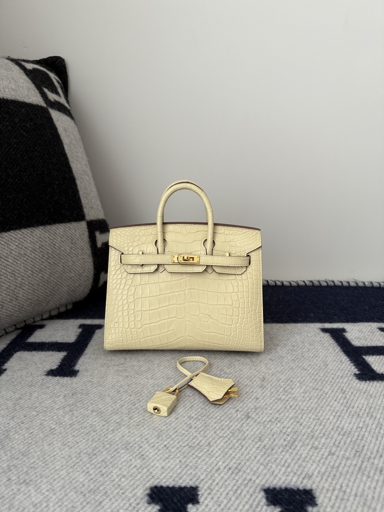 Birkin 20cm Matte Porosus Crocodile Handbag