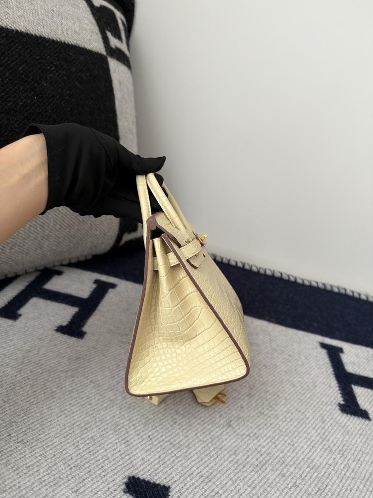 Birkin 20cm Matte Porosus Crocodile Handbag