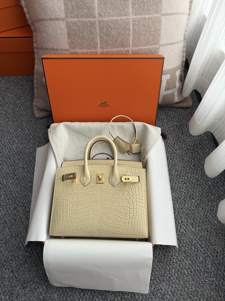 Birkin 20cm Matte Porosus Crocodile Handbag