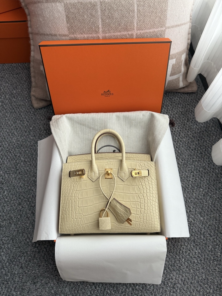 Birkin 20cm Matte Porosus Crocodile Handbag