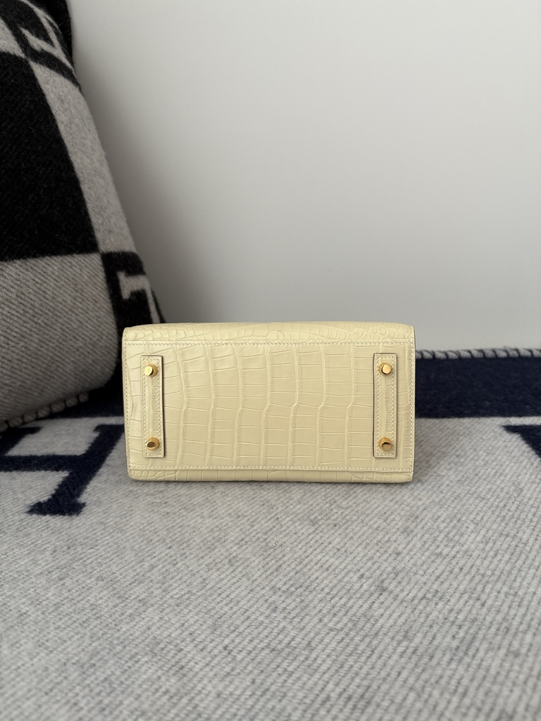 Birkin 20cm Matte Porosus Crocodile Handbag