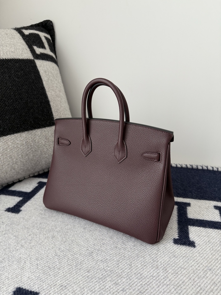 Birkin 25cm Platinum Togo Leather Bag with Gold Buckle
