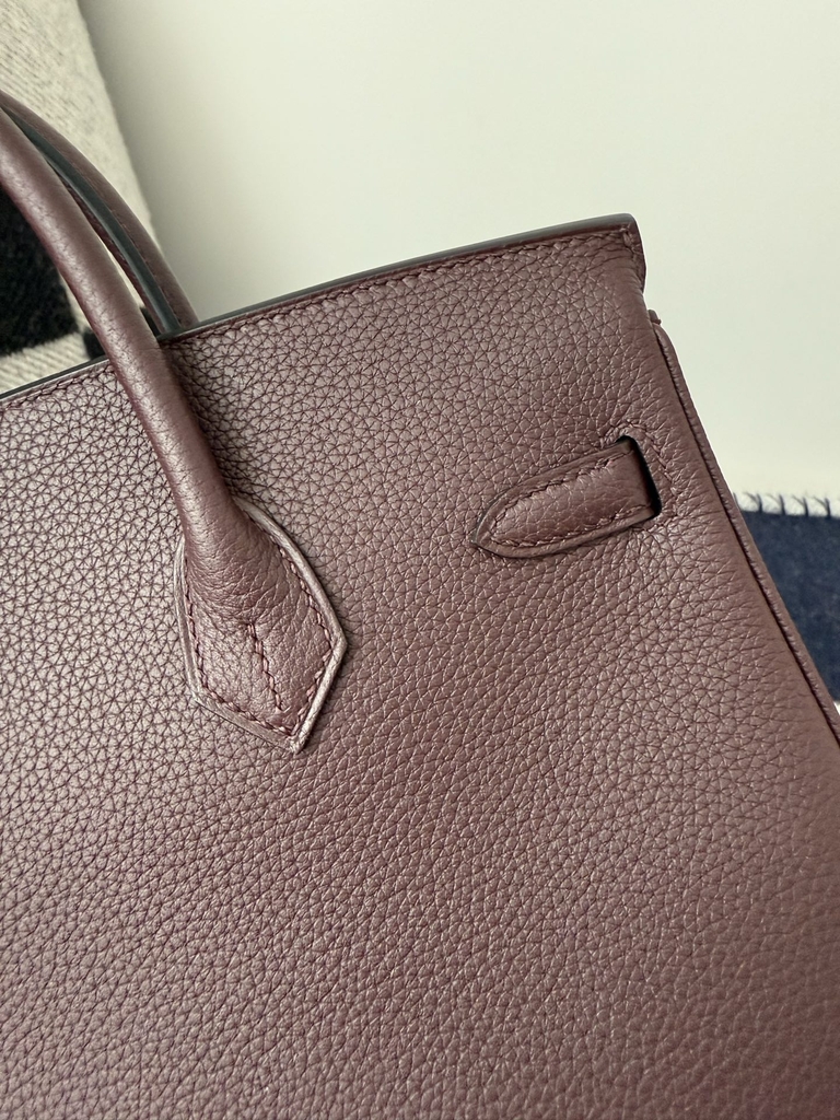 Birkin 25cm Platinum Togo Leather Bag with Gold Buckle