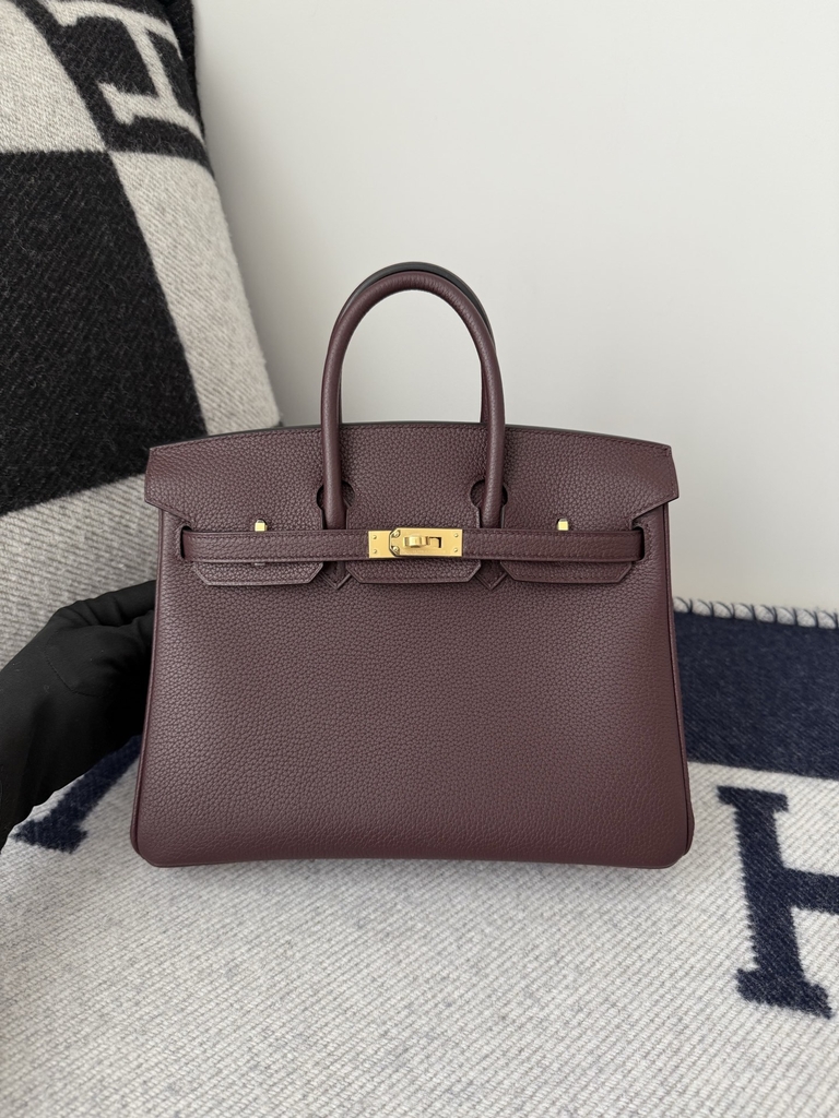 Birkin 25cm Platinum Togo Leather Bag with Gold Buckle