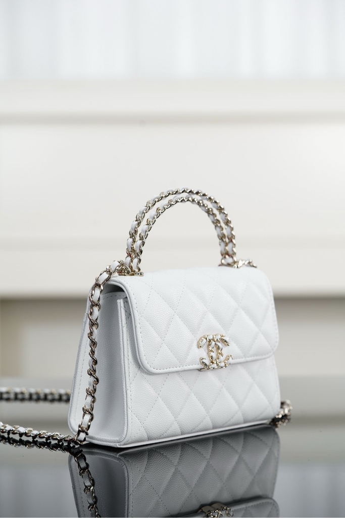 Chanel 25s Crossbody Handle Bag