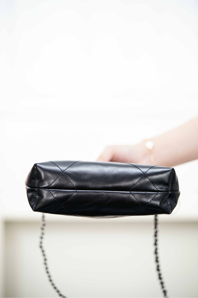 Channel 25A 22 Mini Bag Original Leather Black Silver