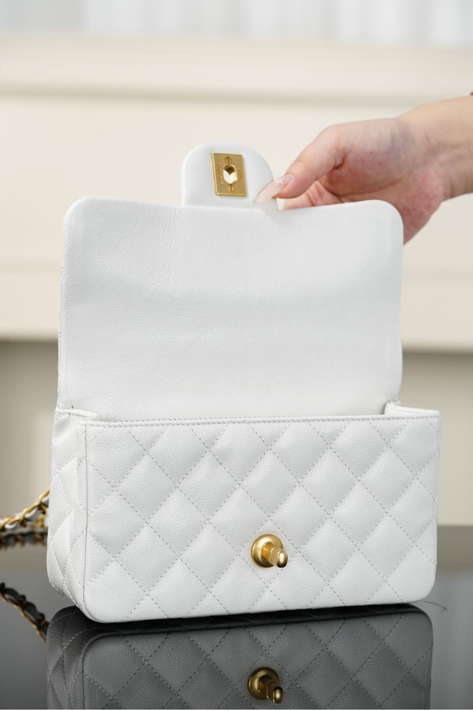 Chanel 25B Double C Handle CF Mini Bag Platinum