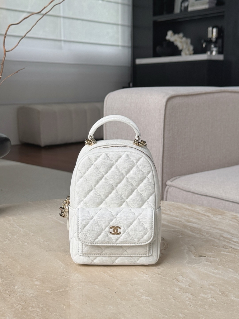 CHANEL BAG 19