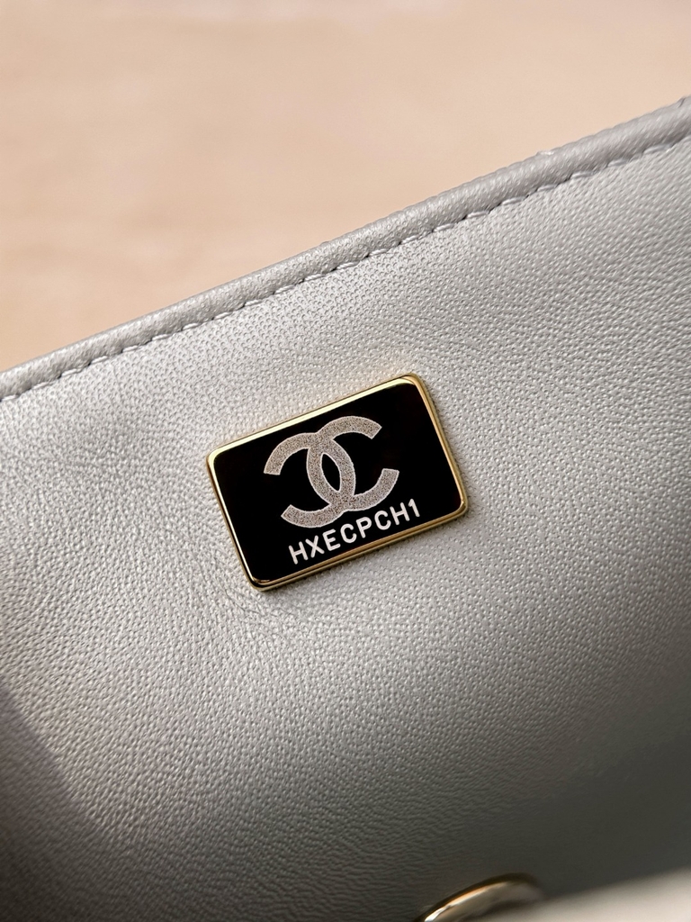 CF17 Elephant Gray Decorative