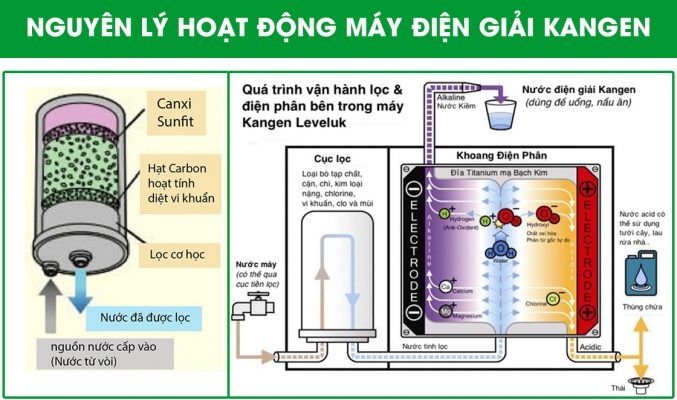 Nguyên lý hoạt động máy điện giải Kangen