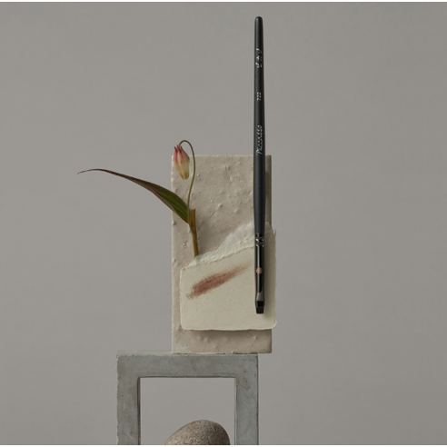 Cọ phấn mắt Picasso 722