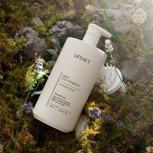 Dầu gội LifeNet Fresh