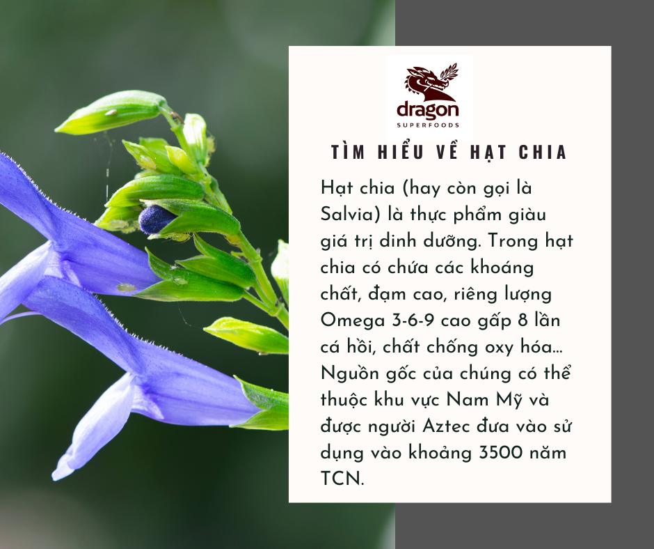 Hạt chia hữu cơ 200Gr/500Gr Dragon Superfoods