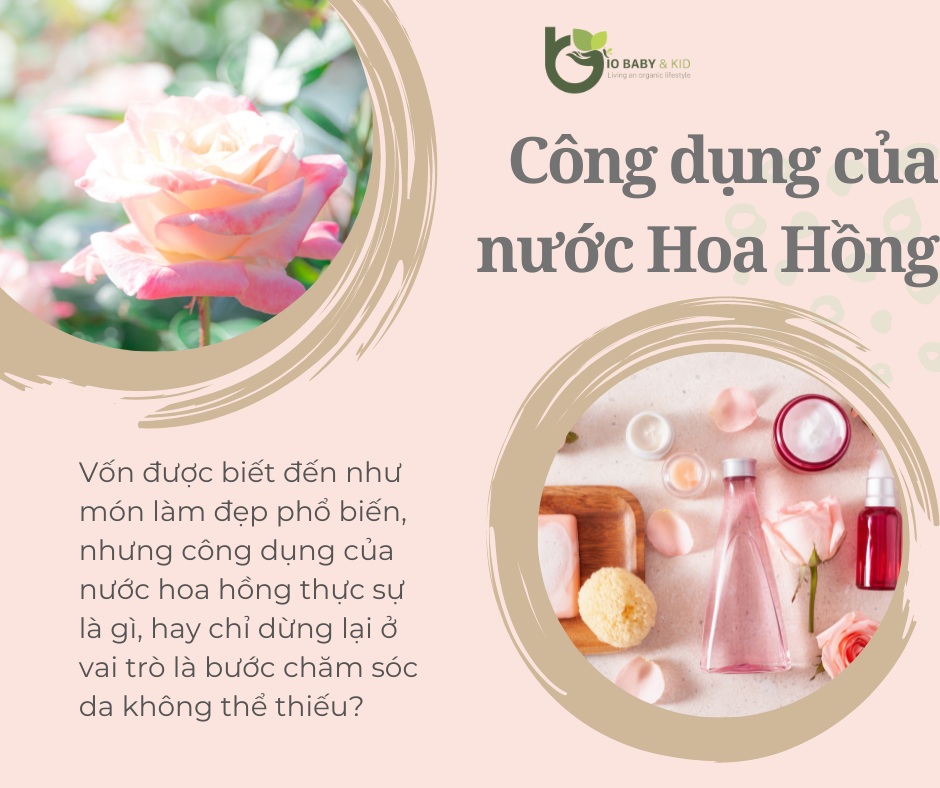 Nước hoa hồng Damascena hữu cơ Wooden Spoon 200ml