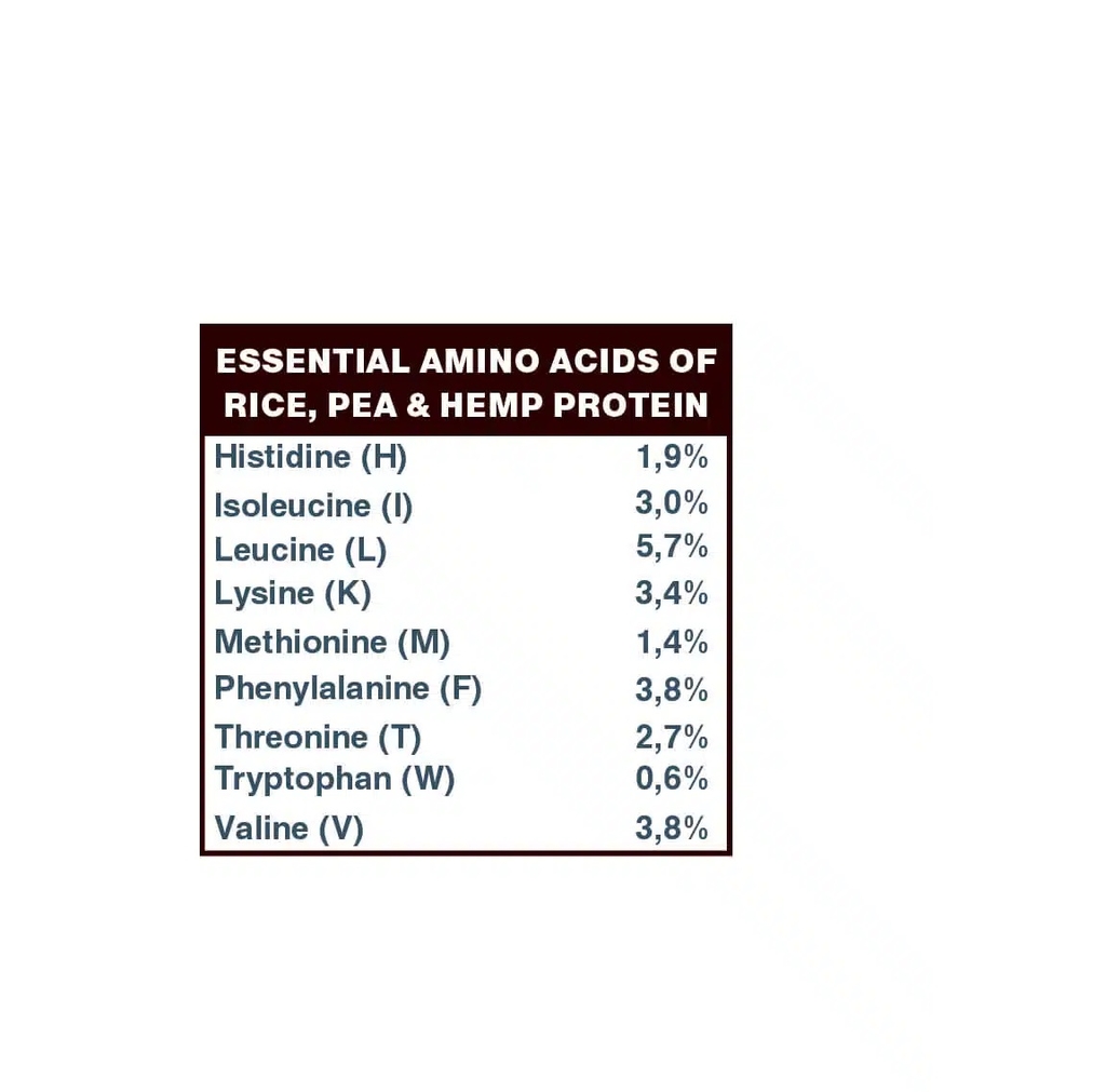 Protein Supermix (hỗn hợp hạt) hữu cơ 500gr Dragon Superfoods