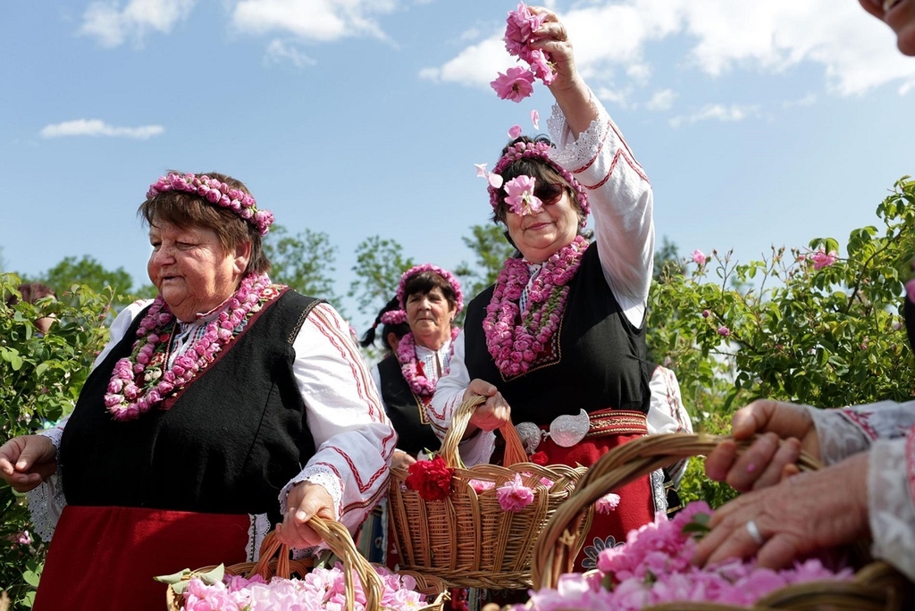 Nước hoa hồng Damascena hữu cơ Wooden Spoon 200ml