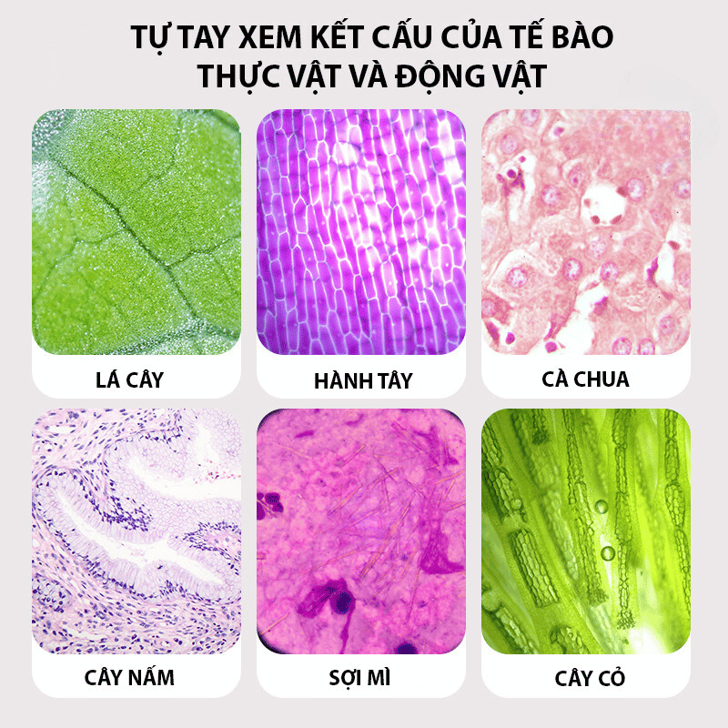 Đồ chơi kính hiển vi trẻ em khám phá thế giới phóng đại lên tới 200 lần