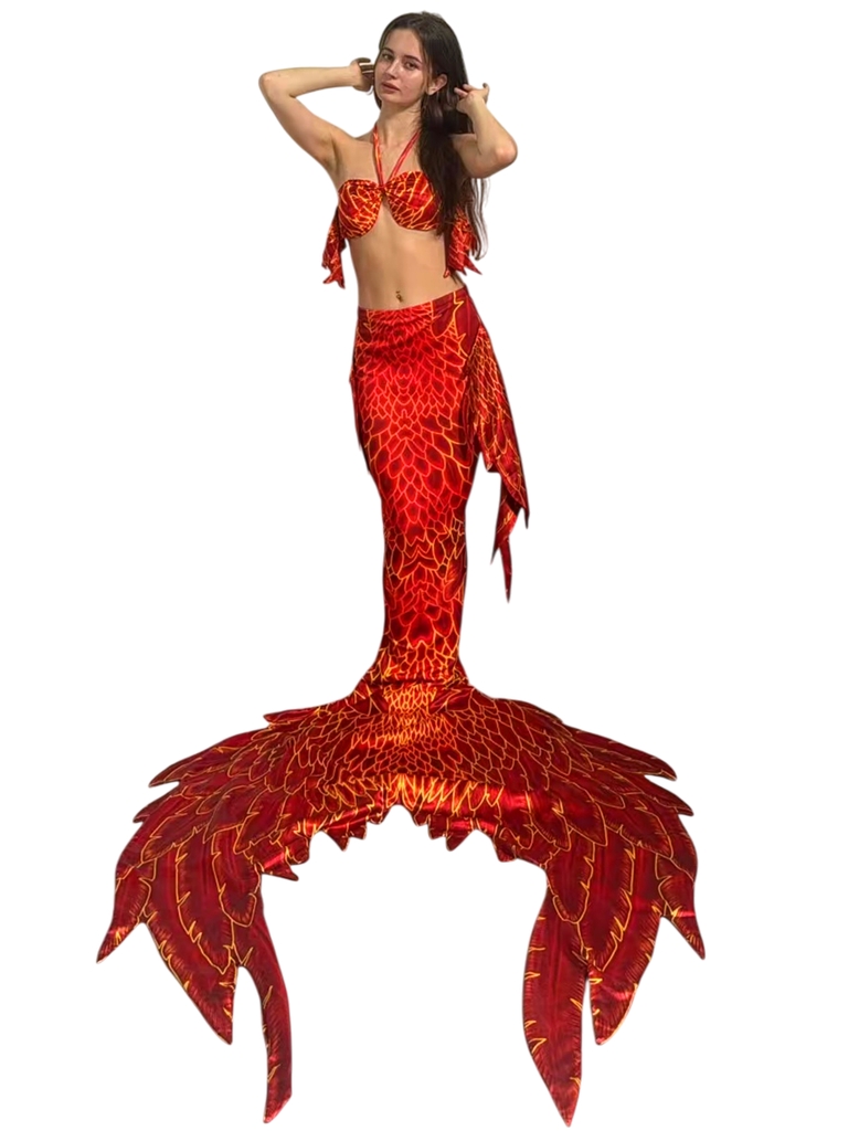 Đuôi Nàng Tiên Cá Rồng
