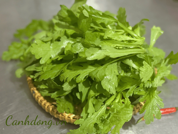 Cải cúc hữu cơ vườn Cây Gạo (kg)