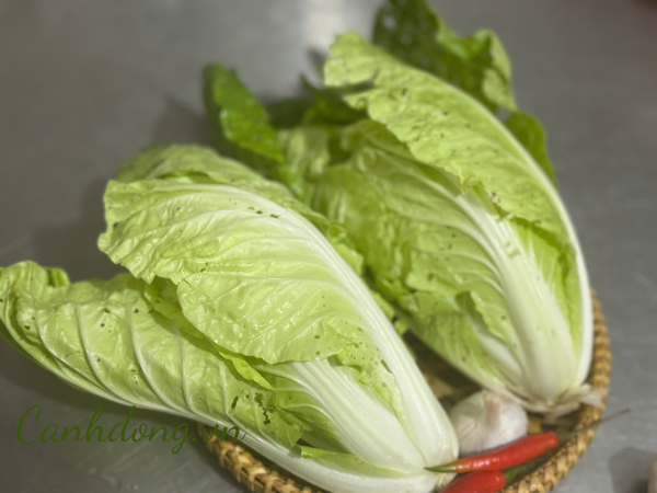 Cải thảo hữu cơ vườn Cây Gạo (túi 500gr)