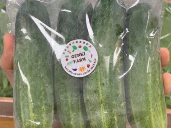 Dưa chuột giống Nhật hữu cơ Genki (Kg)