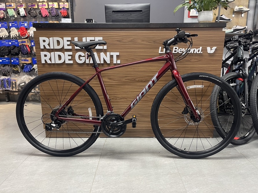 GIANT 2024 ESCAPE 2 D