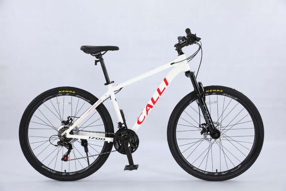 Xe đạp thể thao Calli 1700
