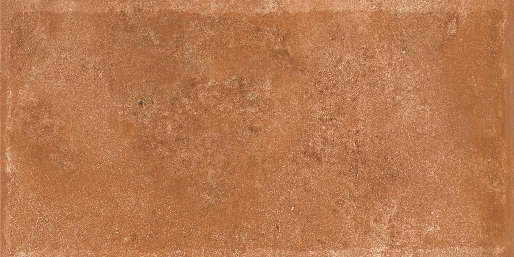Gạch Ấn Độ 300x600 men Matt Porcelain ALTROZ TERRA