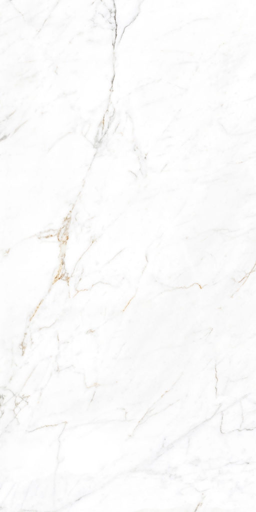 Gạch Ấn Độ 1200x2400 men Bóng Porcelain STATUARIO NEX