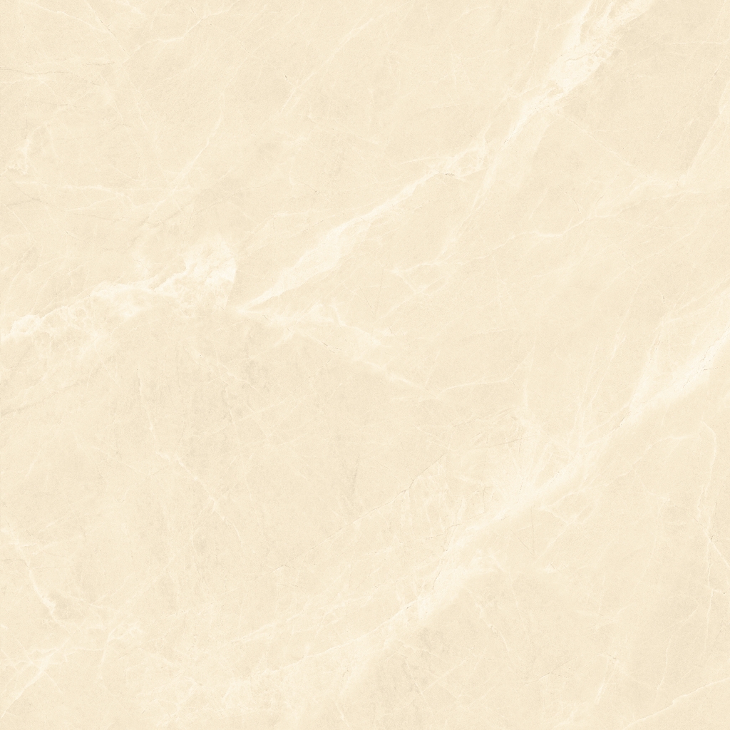 Gạch 600x600 men Bóng Porcelain TTB606A