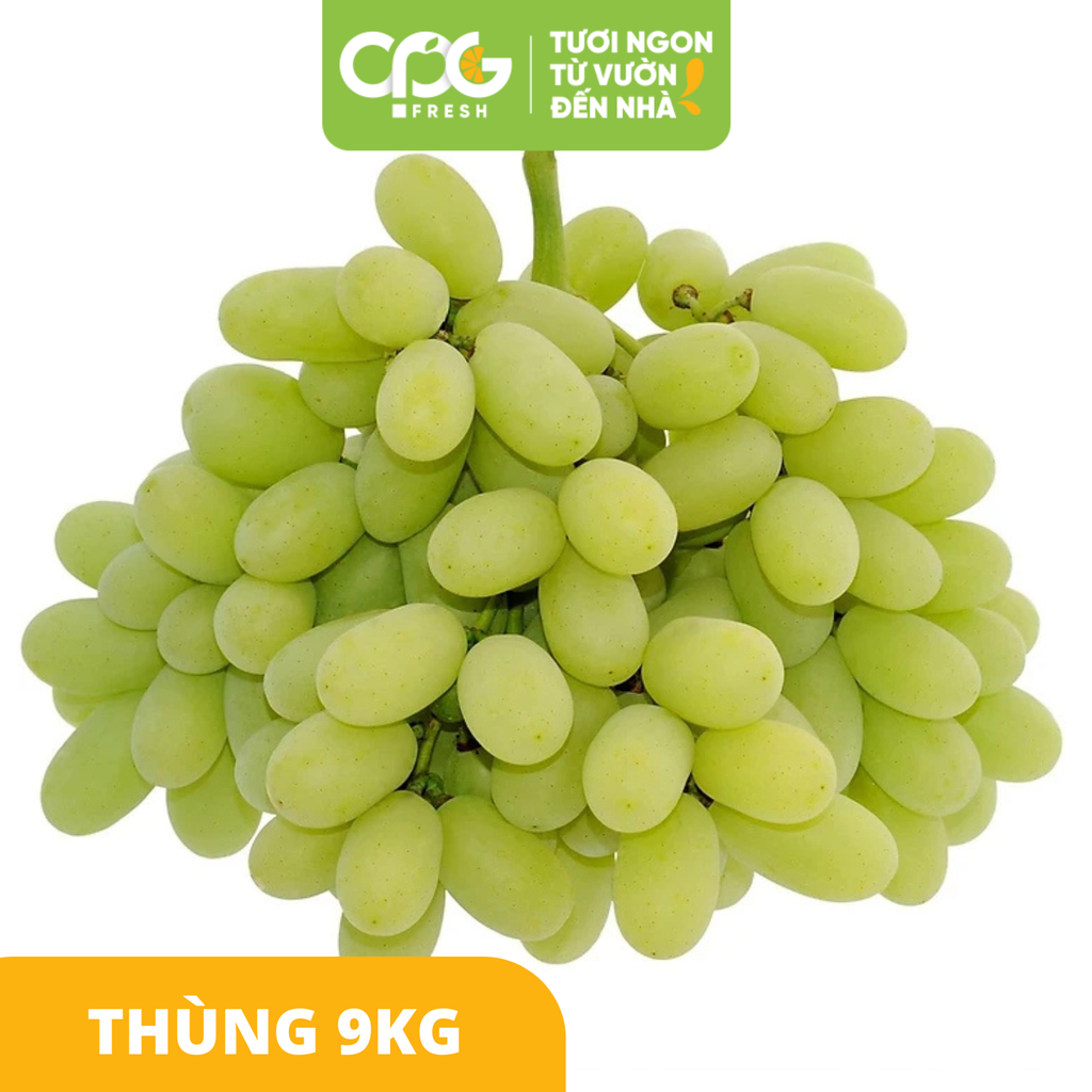 Nho xanh không hạt Sweet Globe Mỹ (22-25mm+) Thùng 8,6kg