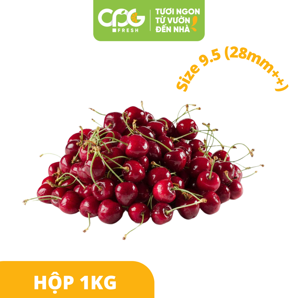 Trái Cherry Anh Đào Canada