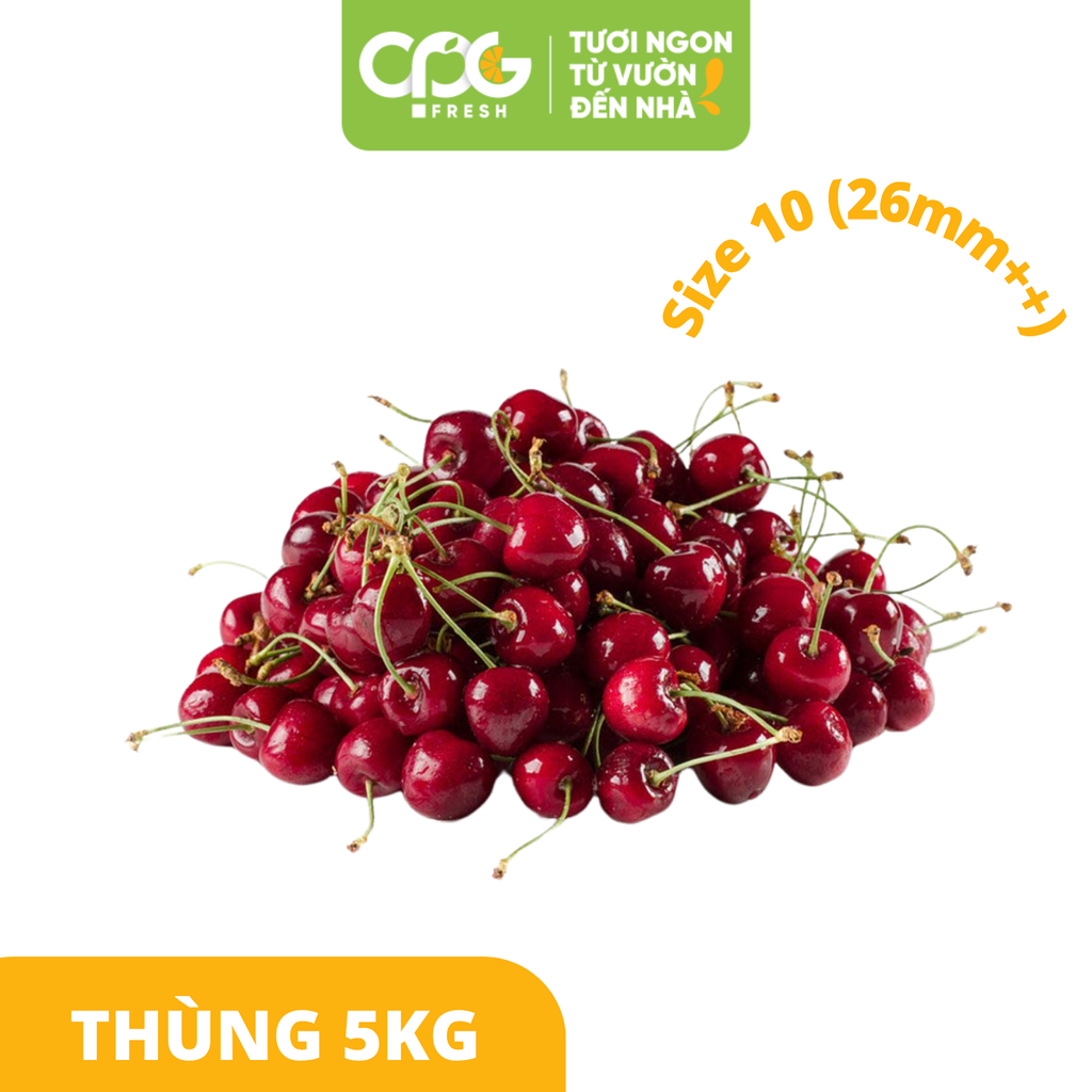 Trái Cherry Anh Đào Canada