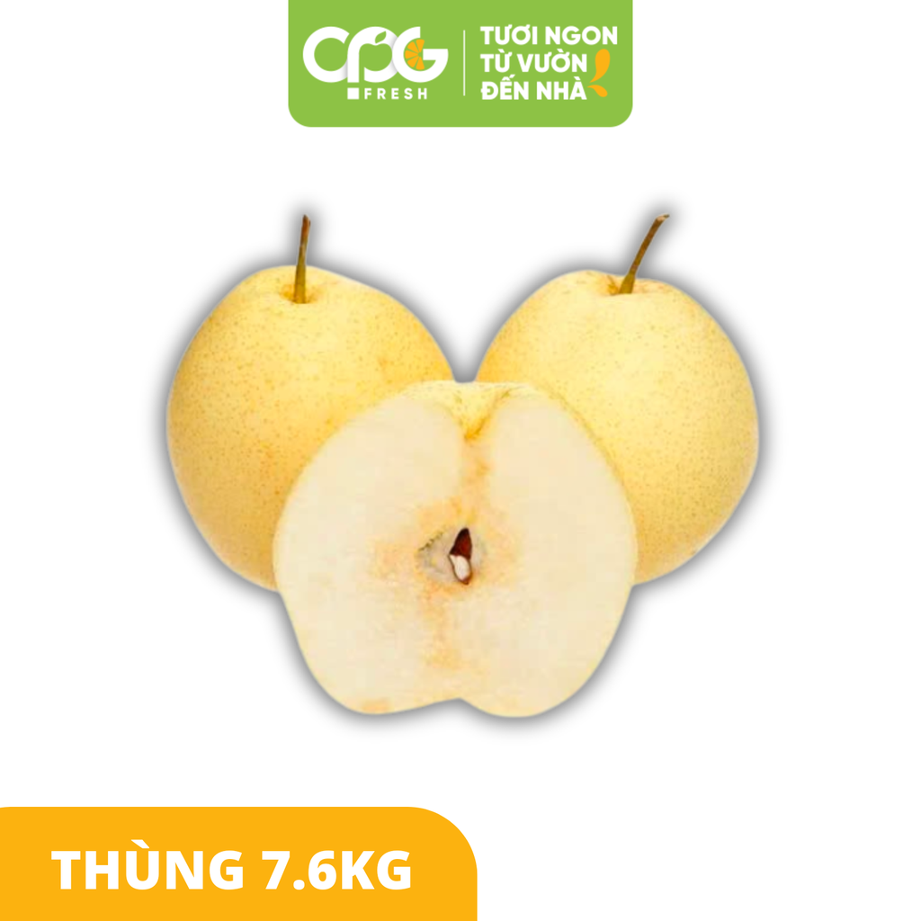Lê Đường Trung Quốc (size 30-35)