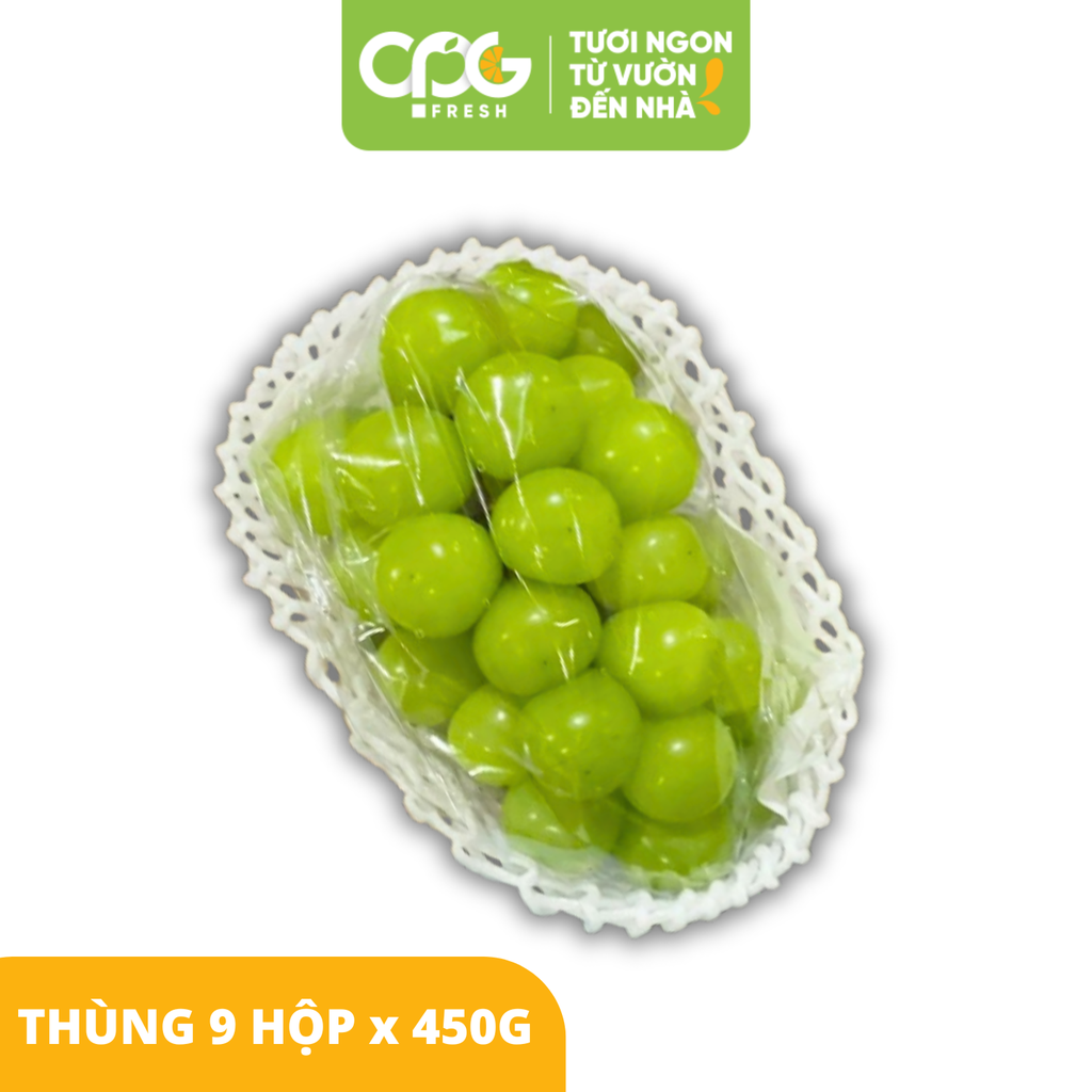 Nho xanh không hạt Shine Muscat Hàn Quốc (Size 25-30mm)