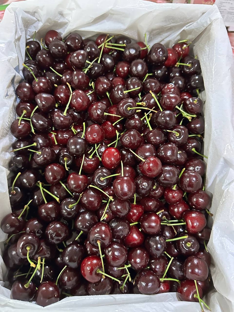 [Hoả tốc HCM] CPG Fresh - Trái Anh Đào Tươi Tasmania (26-28mm++) Thùng 5kg