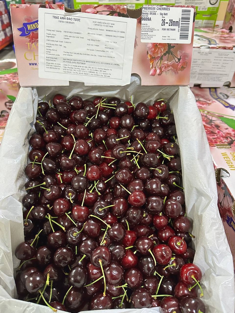 [Hoả tốc HCM] CPG Fresh - Trái Anh Đào Tươi Tasmania (26-28mm++) Thùng 5kg